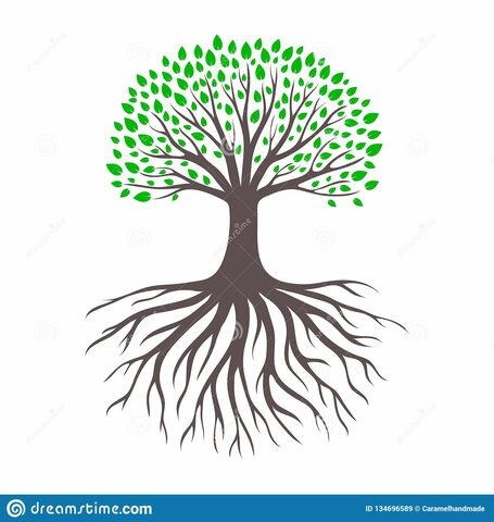 Root & Branch Petition