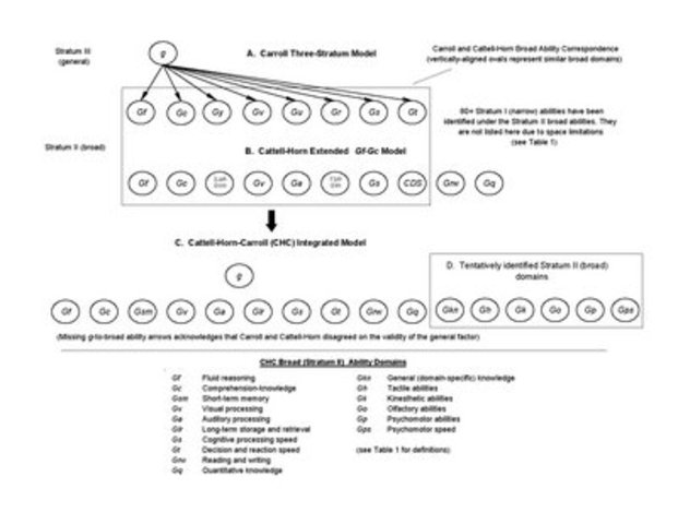 Cattell-Horn-Carroll Theory