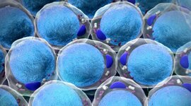 Timeline: L'Evolució dels processos metabòlics