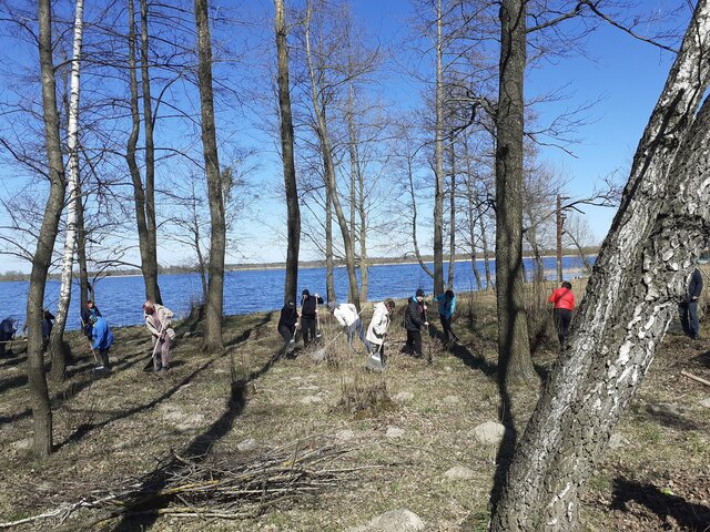 День довкілля