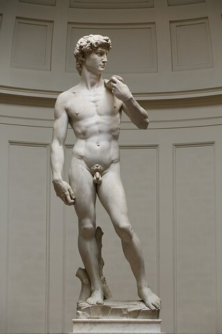 Michaelangelo completes his statue of David