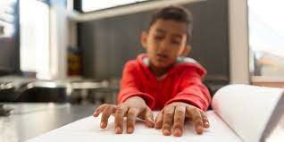 Ley estatutaria 1618 de 2013