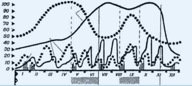 Matveyev LP. (1964).