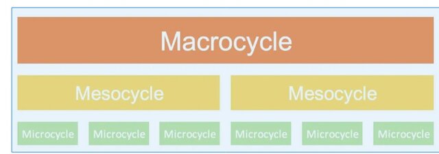 Issurin, VI. (2010).