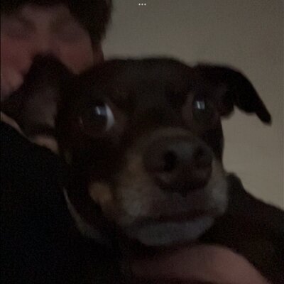 Timeline: Napoleon Timeline