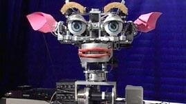 Social Robots