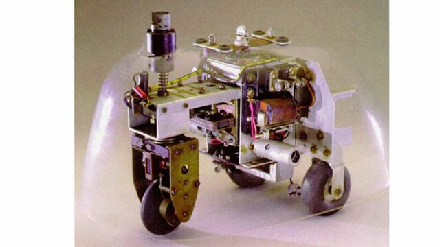 tortue cybernetique