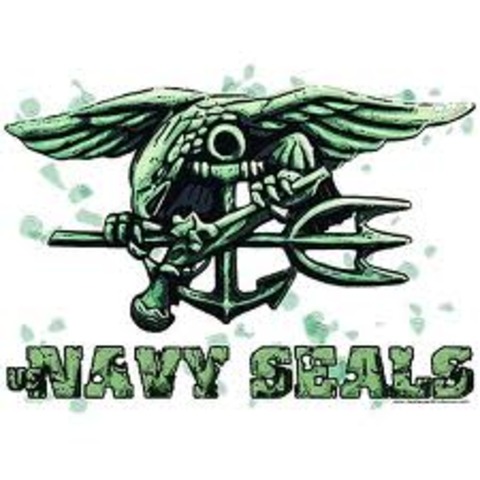 Navy Seals activated