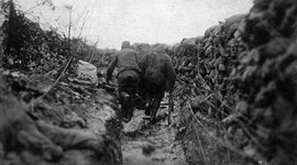 Timeline: Prima Guerra Mondiale