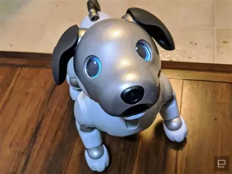 aibo