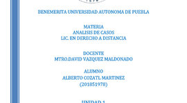 Timeline: Analisis de casos ACT.1 ALUMNO ALBERTO COZATL MARTINEZ