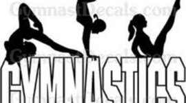 Timeline: Bailey Hoeflings "Gymnastical Timeline"