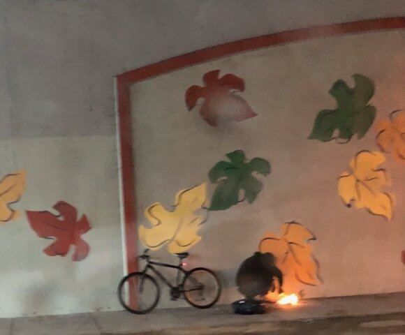 Fire Started by Transient