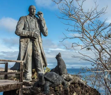 Psicología Comparada