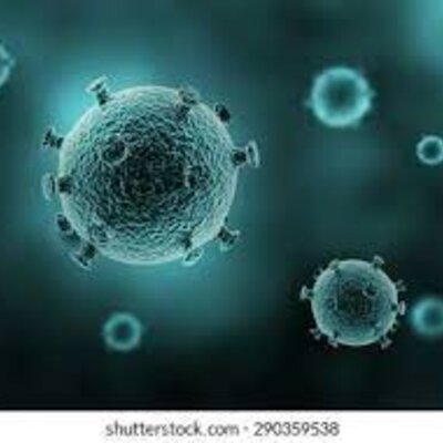 Timeline: L'evolució dels processos metabòlics