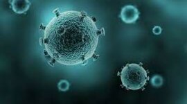 Timeline: L'evolució dels processos metabòlics