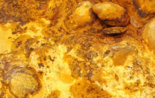 Els organismes quimioautòtrofs