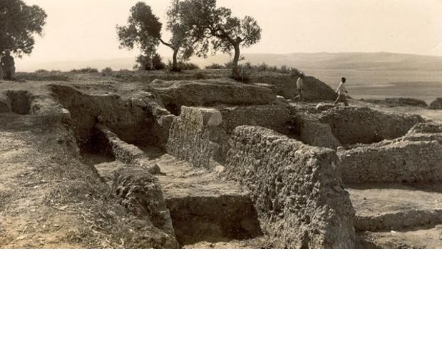 Yacimiento de "Asta Regia"