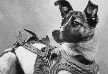 First animal in space by USSR