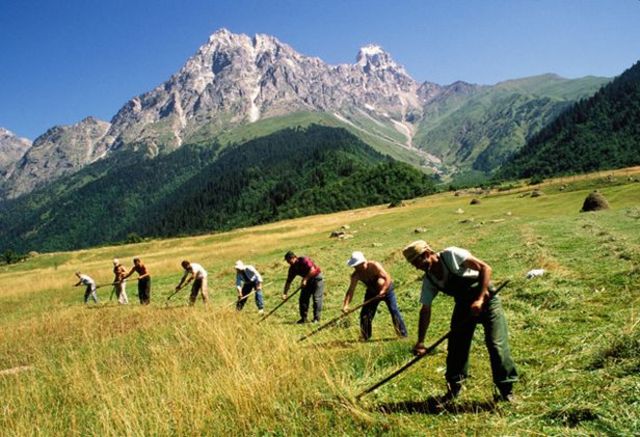 Boer War in South Africa