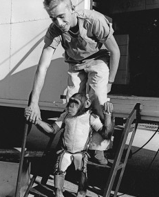 First animal in space by USA