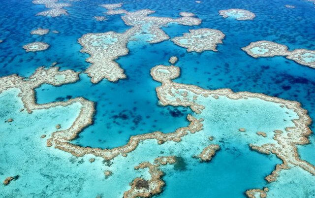 The Great Barrier Reef and mass bleaching