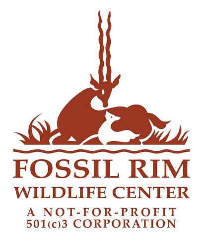 Jurzykowski Donation