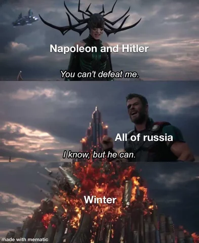 Napoleonov pohod v Rusijo