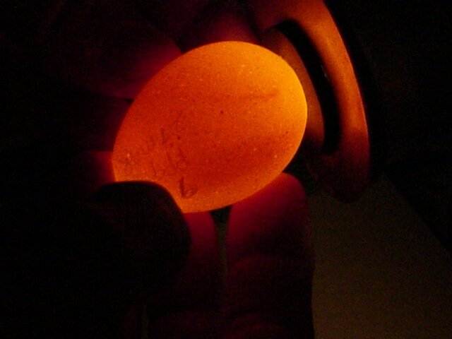 'Significant Achievement' from AZA for APC Program