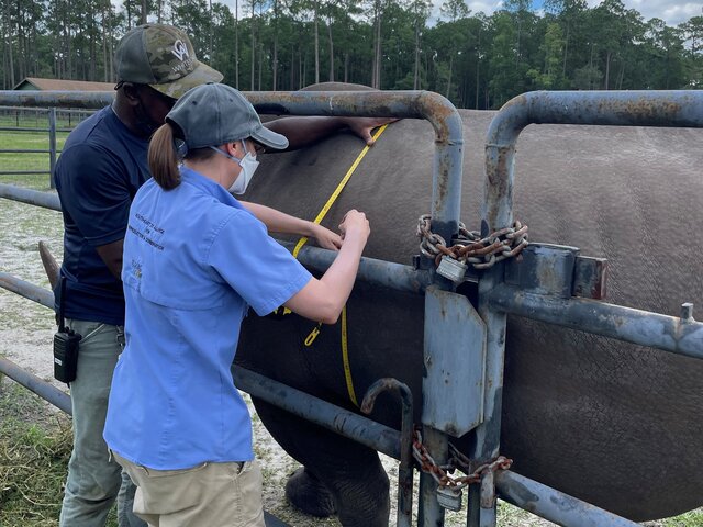 Participate in AIRS Project