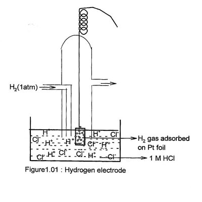 Timeline: Bohr Model