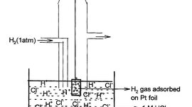 Timeline: Bohr Model