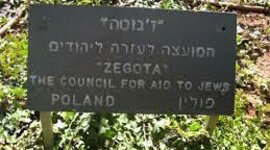 Timeline: ארגון ז'גוטה