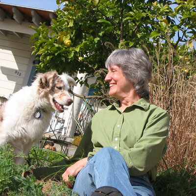 Timeline: Donna Haraway (1944-Present)
