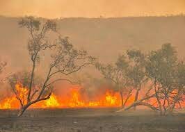 Australia bushfire