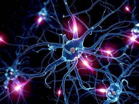 1821-1894 Von Helmholtz