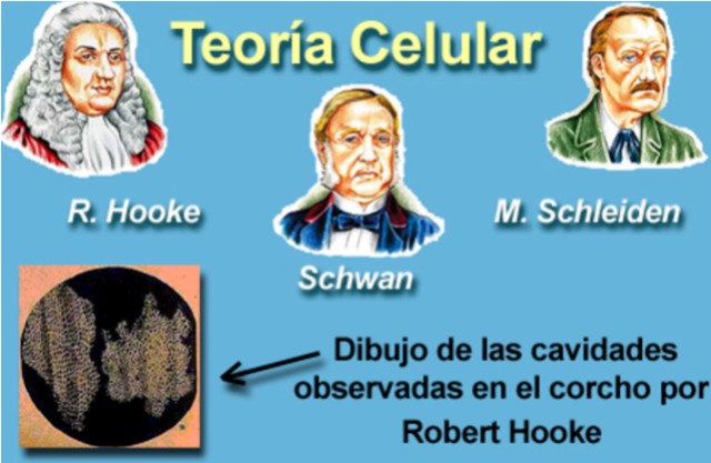 Creación de la teoría celular