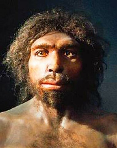 HOMO ANTECESSOR (hace 800.000 años)