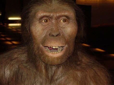 AUSTRALOPITHECUS (de 4 a 1 millón de años)