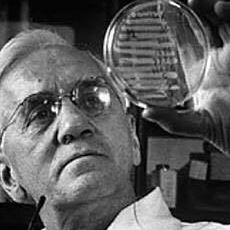 Descubrimiento de la penicilina