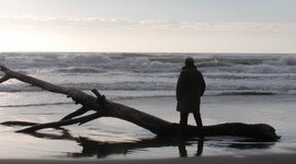 Timeline: Data di nascita PINCO