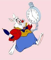 DATA DI NASCITA BIANCONIGLIO