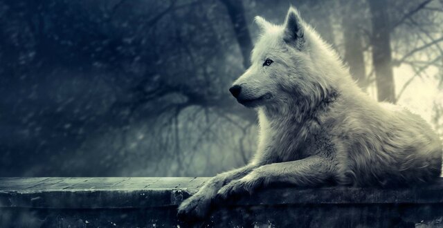 Data di nascita di Toby