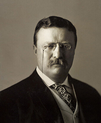 Le parti Bull Moose de Theodore Roosevelt soutient le droit de vote des femmes.