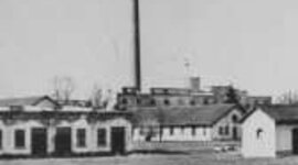 Timeline: Holocaust Timeline