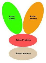 Herbert Copeland Sistema de cuatro reinos Monera 1956