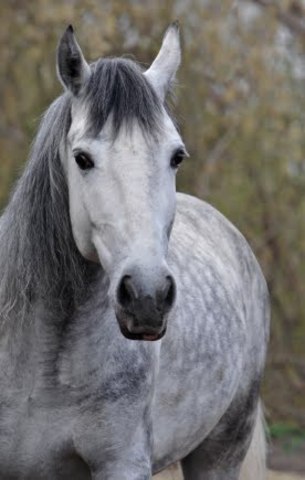 First ride with Cricket