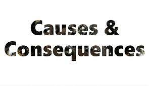 The Consequences so Far