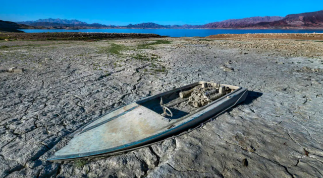 Winter 2021 (Beginning of Year)