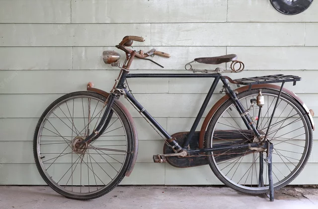 BICICLETA: Pierre Lallement